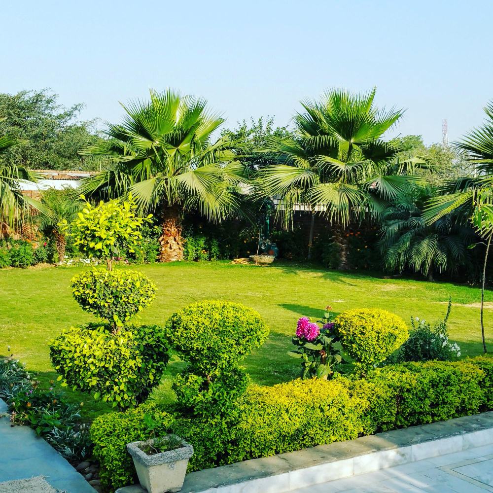 Best Landscaping Company in Dubai