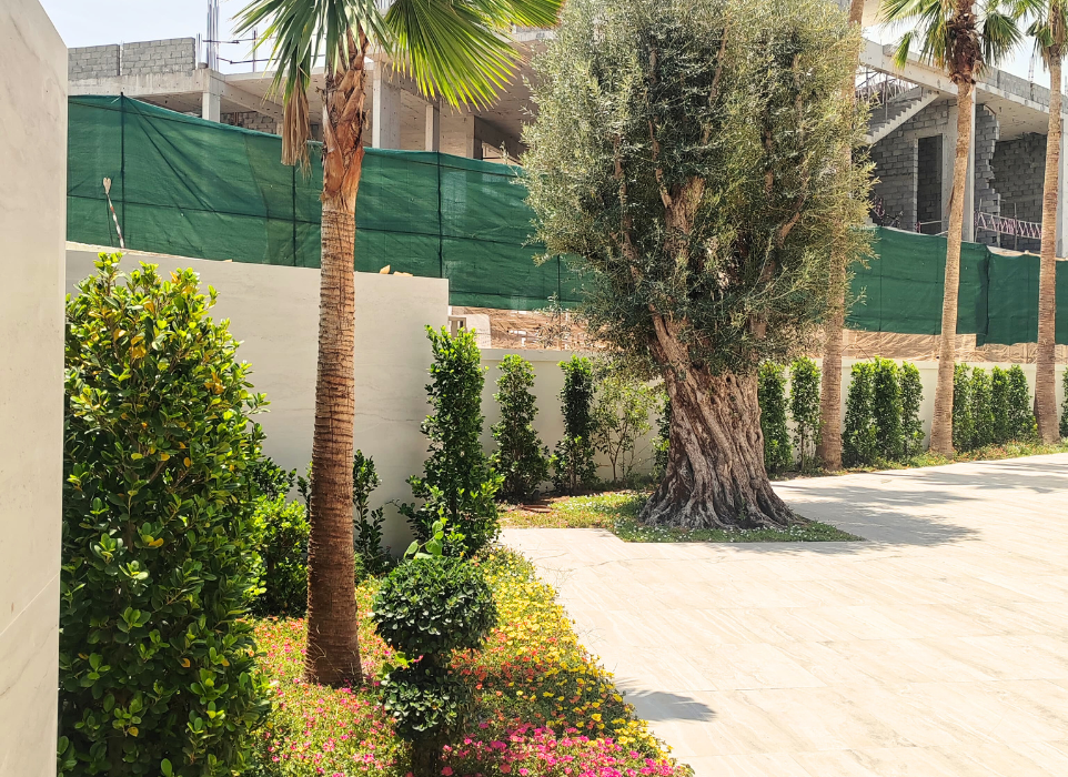 Landscape - Landscaping Company in Dubai
