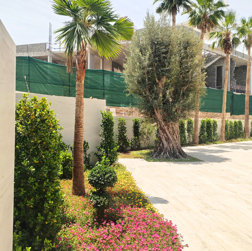 Landscape - Landscaping Company in Dubai